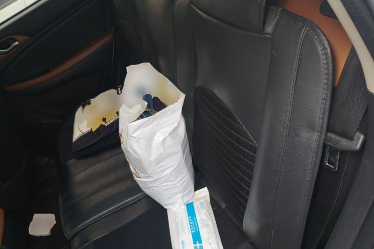 Used Land X2 2017 1.6L Manual Platinum Edition Left Rear Seat