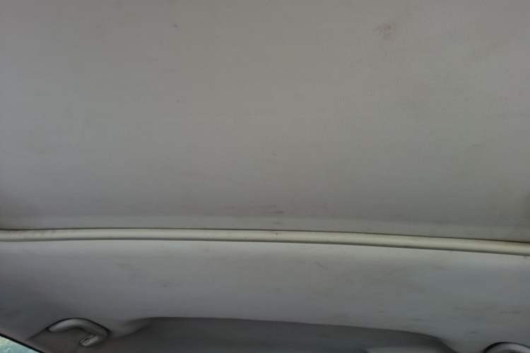 Used Land X5 2016 Plus 1.5T CVT Leading Edition Headliner