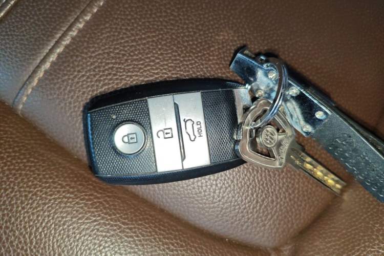 Used Land X5 2016 Plus 2.0T Automatic Innovation Edition Interior 1