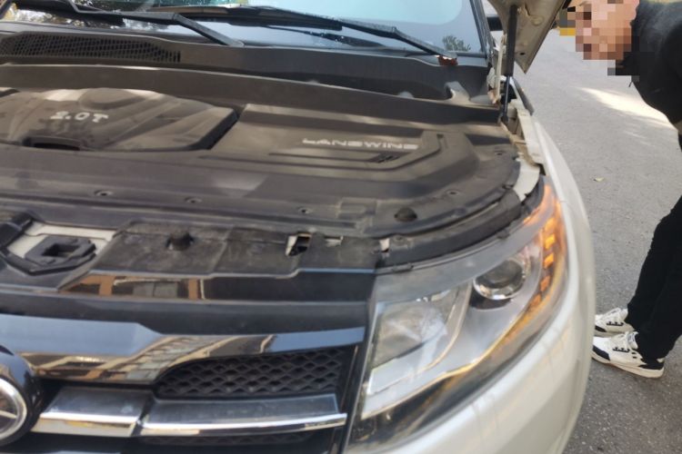 Used Land X7 2015 2.0T Panoramic Prestige Edition Engine Bay Left