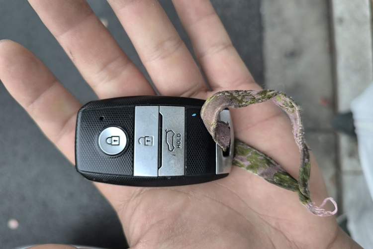Used Land X7 2015 2.0T Panoramic Flagship Edition Vehicle Key