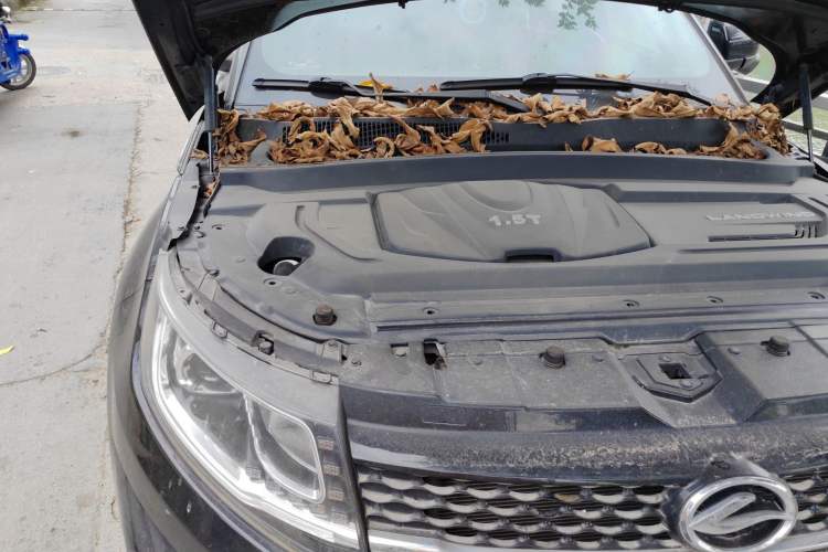 Used Land X7 2018 Geely Jingyue 1.5T Panoramic Luxury Model Engine Bay Right