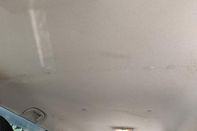 Used Land X8 2017 2.0T Gasoline 4x2 Luxury Edition Headliner
