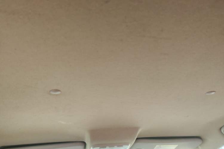 Used Land X8 2017 2.0T Gasoline 4x4 Luxury Model Headliner