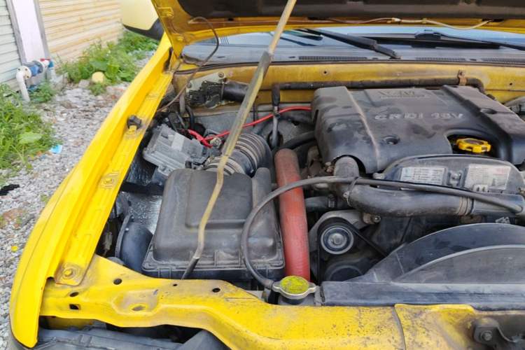 Used Land X9 2009 2.5T VM Four-Wheel Drive Diesel Version Engine Bay Right