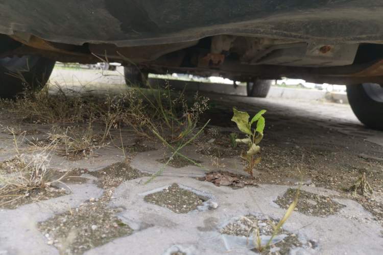 Used Land Xiaoyao 2018 Revised Version 1.5 GTDI CVT Panoramic Golden Edition Chassis Front