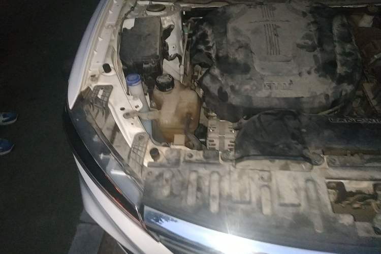 Used Land Xiaoyao 2018 Revised Version 1.5 GTDI CVT Panoramic Golden Edition Engine Bay Right