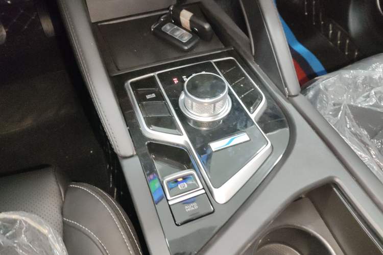 Used Landian E3 2023 405 km Comfort Edition Gear Lever