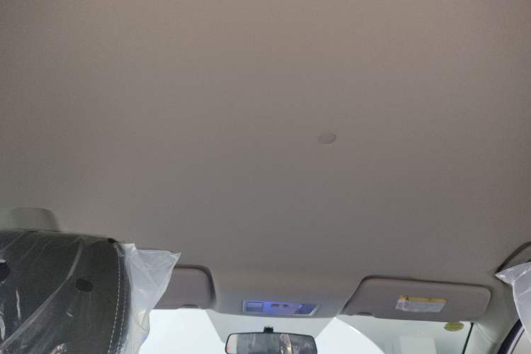Used Landian E3 2023 405 km Comfort Edition Headliner