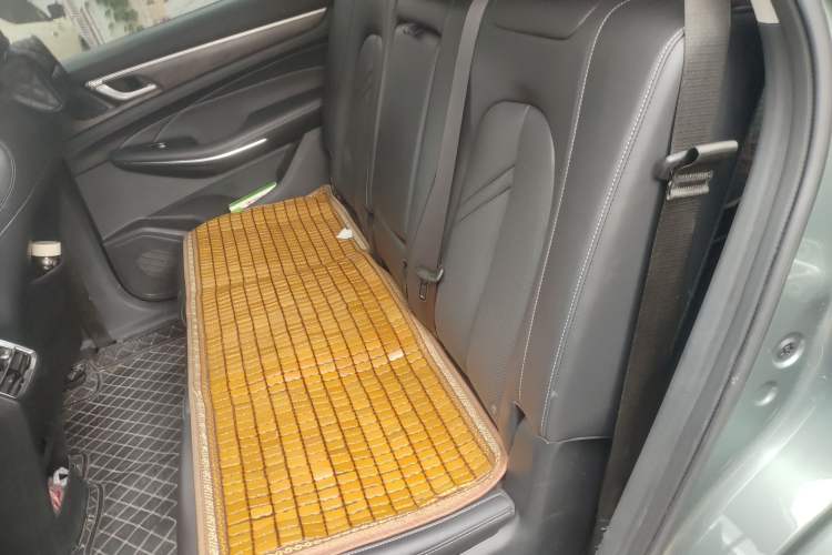 Used Landian E5 2023 1.5L DE-i 100KM Comfort Edition 7-Seater Left Rear Seat