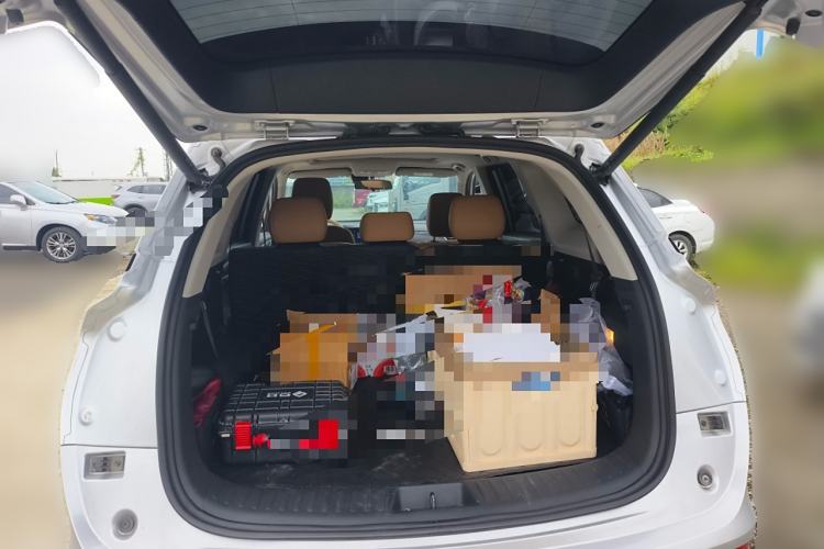 Used Landian E5 2024 Honor Edition 100KM Deluxe 7-Seater Trunk