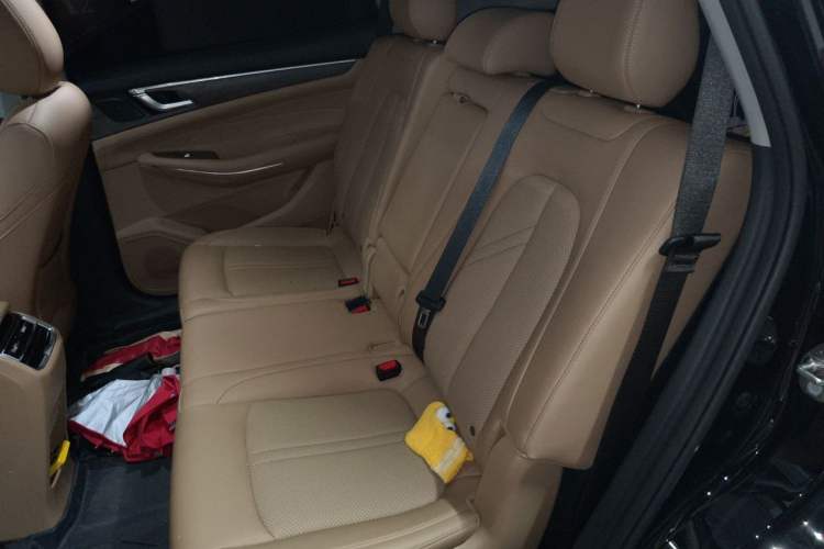 Used Landian E5 2023 1.5L DE-i 100KM Zhenxiang Edition 7-Seater Left Rear Seat