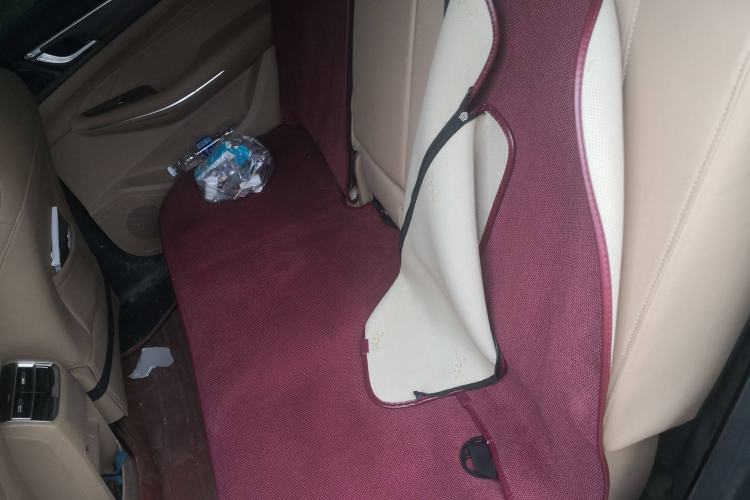 Used Landian E5 2023 1.5L DE-i 100KM Zhenxiang Edition 7-Seater Left Rear Seat