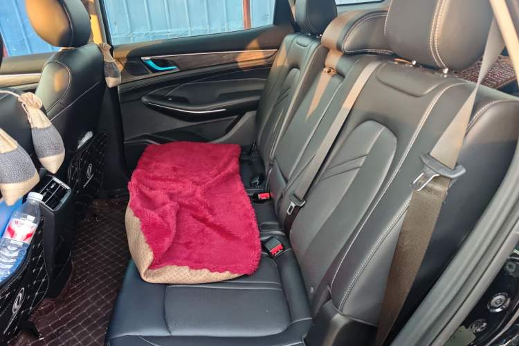 Used Landian E5 2023 1.5L DE-i 100KM Zhenxiang Edition 7-Seater Left Rear Seat