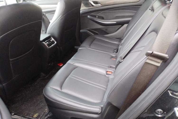 Used Landian E5 2023 1.5L DE-i 100KM Comfort Edition 7-Seater Left Rear Seat