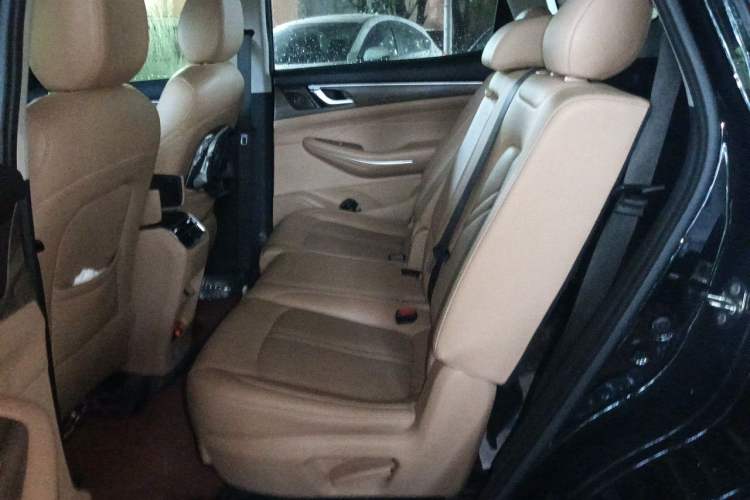 Used Landian E5 2023 1.5L DE-i 100KM Comfort Edition 7-Seater Left Rear Seat