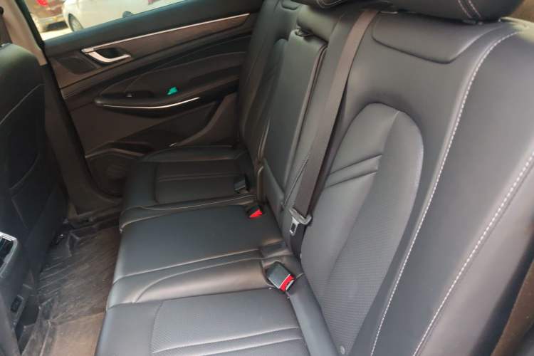 Used Landian E5 2023 1.5L DE-i 100KM Comfort Edition 7-Seater Left Rear Seat