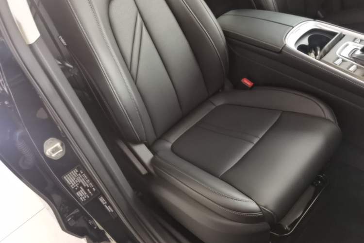 Used Landian E5 2023 1.5L DE-i 100KM Zhenxiang Edition 7-Seater Right Front Seat