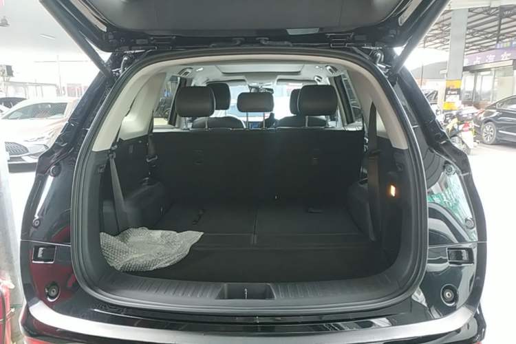 Used Landian E5 2023 1.5L DE-i 100KM Zhenxiang Edition 7-Seater Trunk