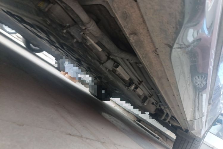 Used Landian E5 2023 1.5L DE-i 110KM Flagship 7-Seater Chassis Front Left