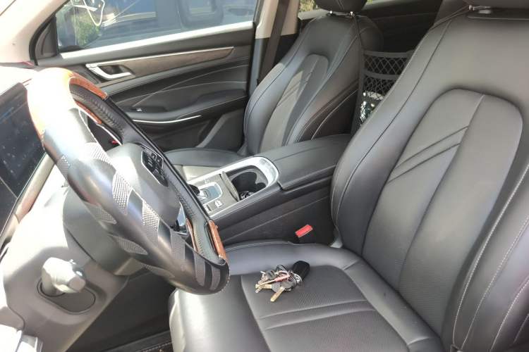 Used Landian E5 2023 1.5L DE-i 100KM Zhenxiang Edition 7-Seater Left Front Seat