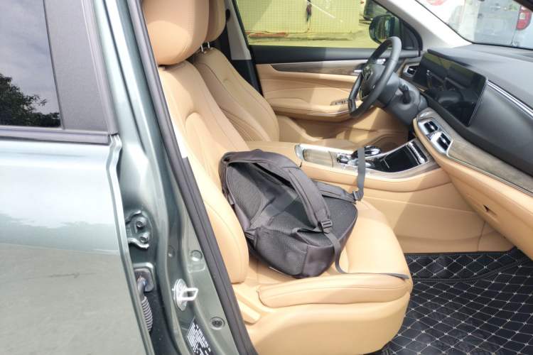 Used Landian E5 2023 1.5L DE-i 100KM Enjoyment Version 5 Seats Right Front Seat