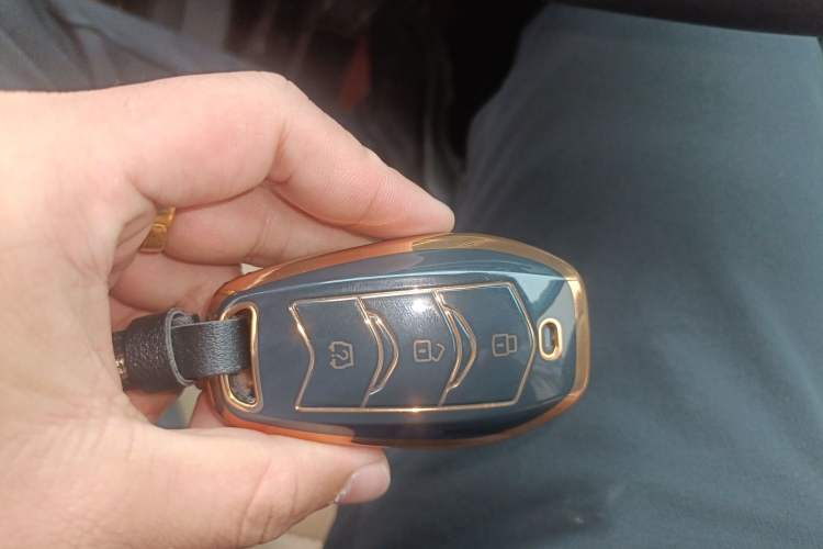 Used Landian E5 2023 1.5L DE-i 110KM Flagship 7-Seater Vehicle Key
