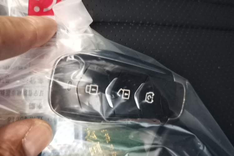 Used Landian E5 2023 1.5L DE-i 100KM Comfort Edition 7-Seater Vehicle Key
