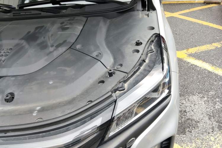 Used Landian E5 2023 1.5L DE-i 110KM Flagship 7-Seater Engine Bay Left