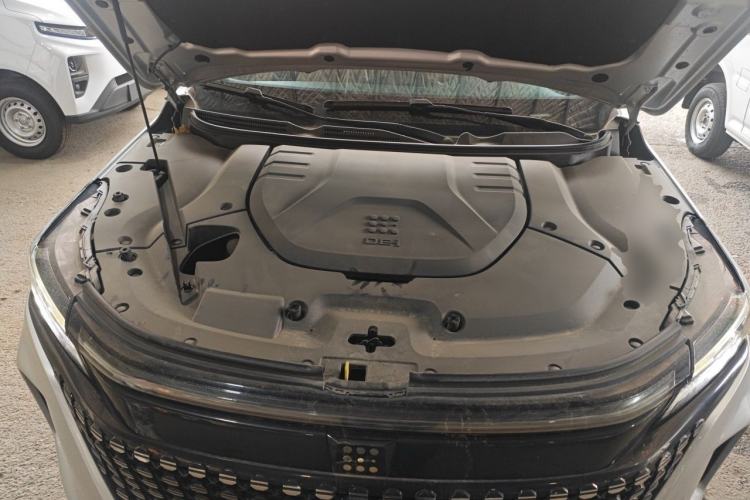 Used Landian E5 2023 1.5L DE-i 100KM Zhenxiang Edition 7-Seater Engine Bay