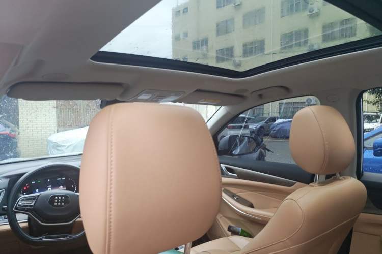 Used Landian E5 2023 1.5L DE-i 100KM Zhenxiang Edition 5-seater Headliner