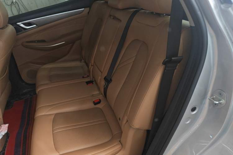 Used Landian E5 2023 1.5L DE-i 100KM Zhenxiang Edition 7-Seater Left Rear Seat