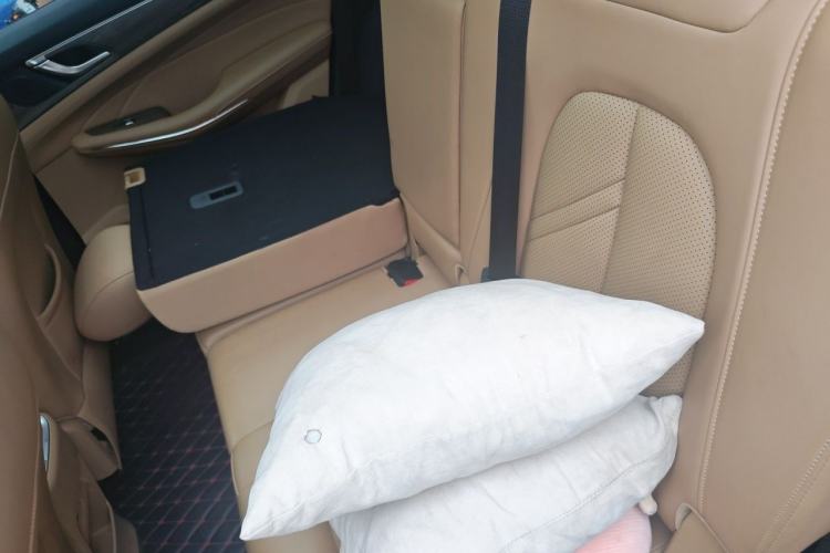 Used Landian E5 2023 1.5L DE-i 100KM Zhenxiang Edition 5-seater Left Rear Seat