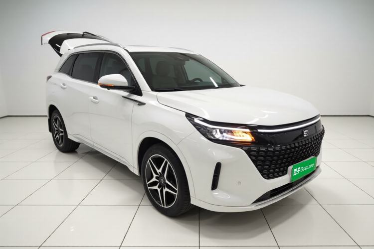 Used Landian E5 2023 1.5L DE-i 100KM Zhenxiang Edition 7-Seater Exterior 1