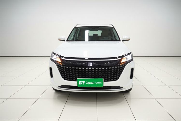 Used Landian E5 2023 1.5L DE-i 100KM Zhenxiang Edition 7-Seater Front