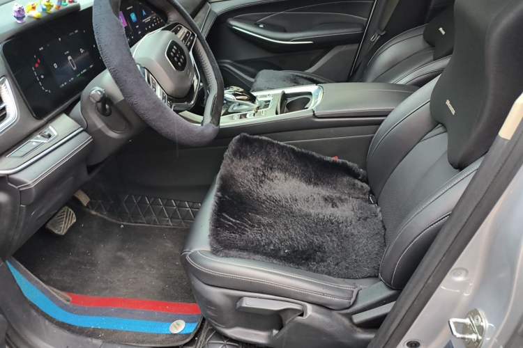 Used Landian E5 2023 1.5L DE-i 100KM Comfort Edition 7-Seater Left Front Seat