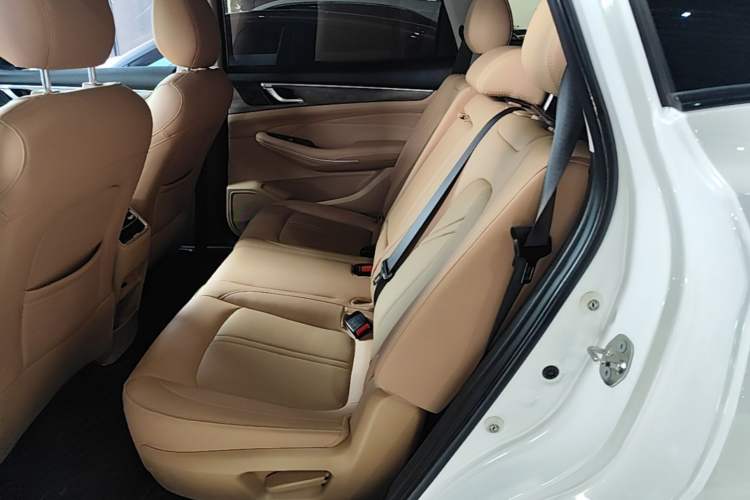 Used Landian E5 2023 1.5L DE-i 100KM Comfort Edition 7-Seater Left Rear Seat