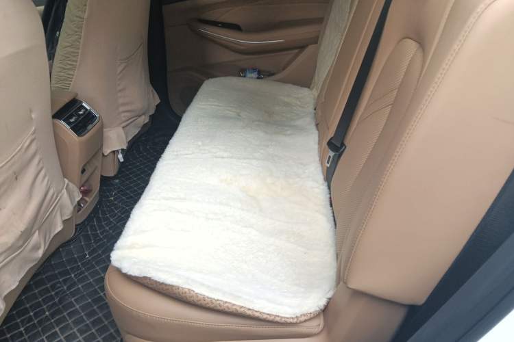 Used Landian E5 2023 1.5L DE-i 100KM Comfort Edition 7-Seater Left Rear Seat