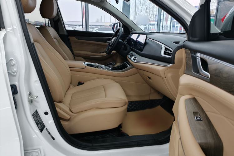 Used Landian E5 2023 1.5L DE-i 100KM Zhenxiang Edition 5-seater Right Front Seat