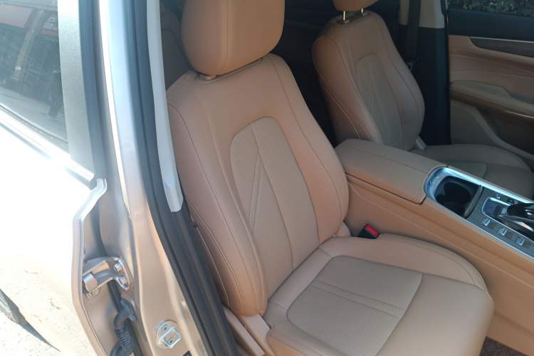 Used Landian E5 2023 1.5L DE-i 110KM Flagship 7-Seater Right Front Seat