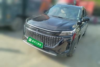 Used Landian E5 2024 Honor Edition 100KM Premium Model 7 Seats