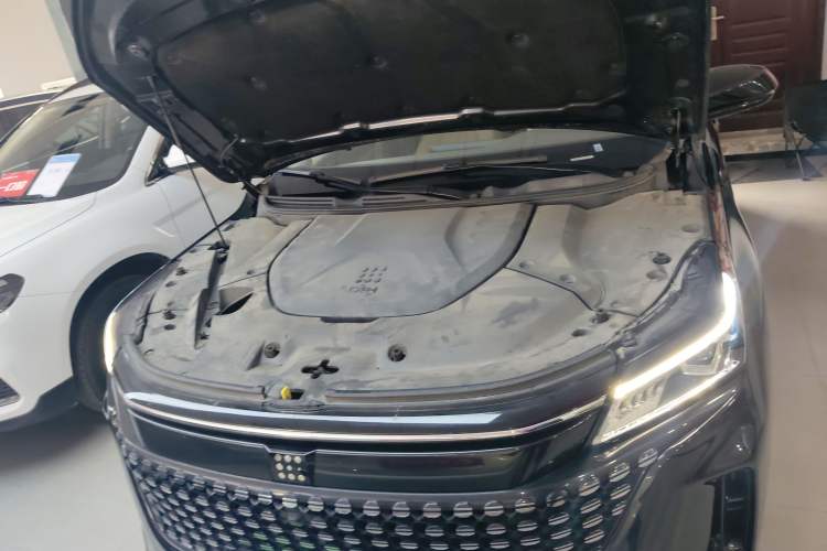 Used Landian E5 2024 Honor Edition 100KM Deluxe 7-Seater Engine Bay