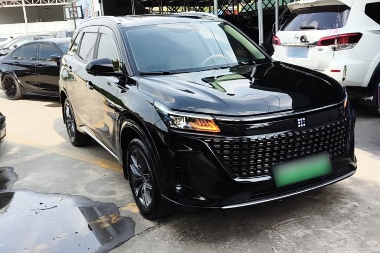 Used Landian E5 2024 Honor Edition 100KM Deluxe 7-Seater Exterior 1