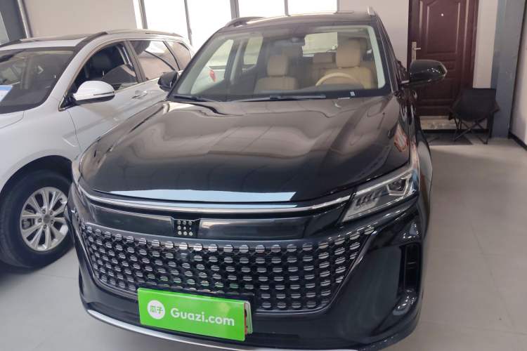 Used Landian E5 2024 Honor Edition 100KM Deluxe 7-Seater Front