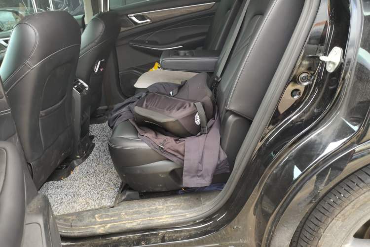 Used Landian E5 2024 Honor Edition 100KM Deluxe 7-Seater Interior 4