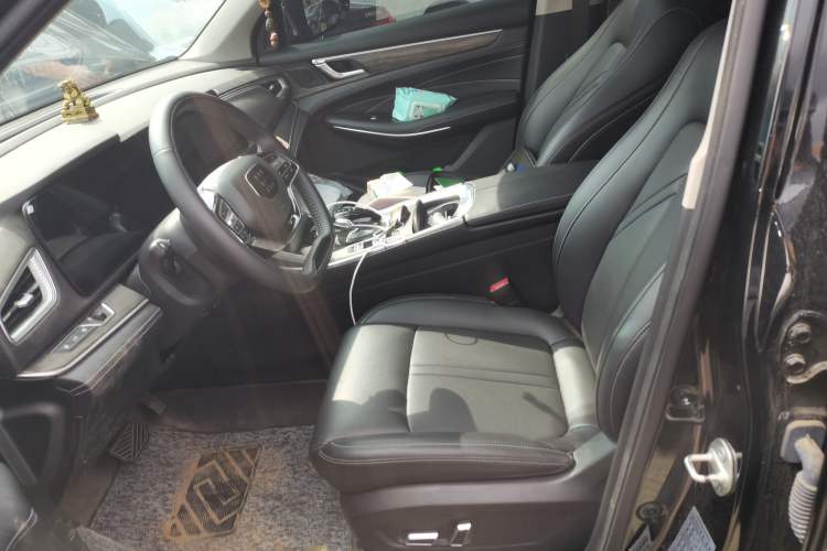 Used Landian E5 2024 Honor Edition 100KM Deluxe 7-Seater Left Front Seat