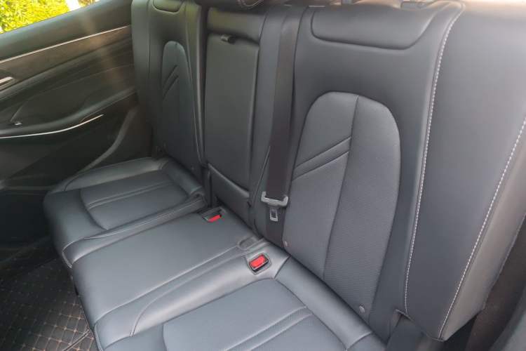 Used Landian E5 2024 Honor Edition 100KM Premium Model 7 Seats Left Rear Seat