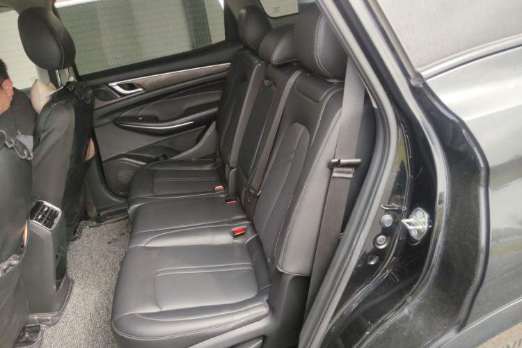 Used Landian E5 2024 Honor Edition 100KM Comfort Model 7 Seats Left Rear Seat