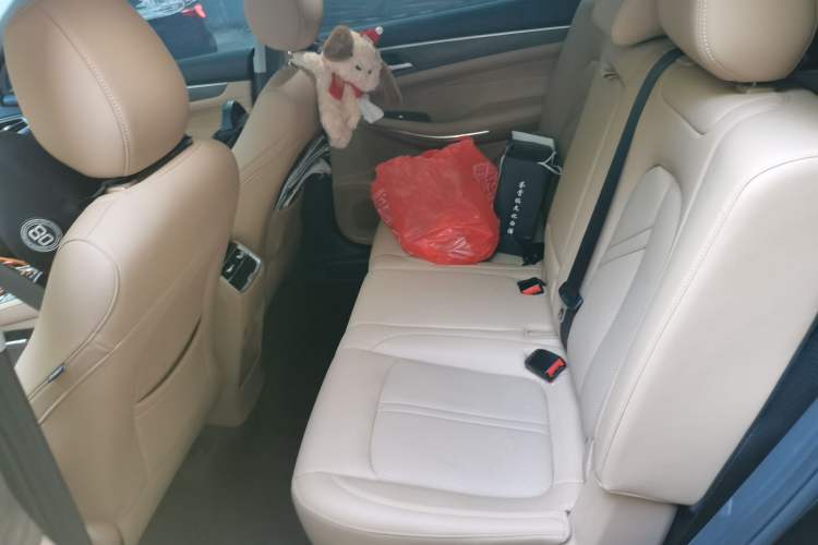 Used Landian E5 2024 Honor Edition 100KM Premium Model 7 Seats Left Rear Seat