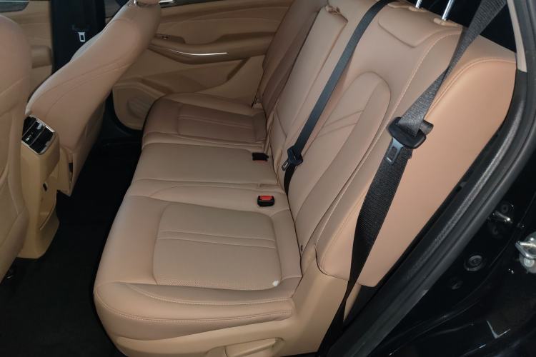Used Landian E5 2024 Honor Edition 100KM Deluxe 7-Seater Left Rear Seat